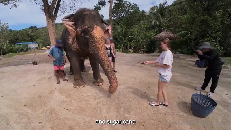 New  Hermione Potter Phuket Thailand Video Leaked (2025) WATCH FULL VIDEO HD:  new  cute  babe  pussy  Anal  Blowjob  Bigdick  Bigtits  DOWNLOAD VIDEO FHD:  uploadmall.com  Hardcore  POV  Rough  Cumshot  Bondage  Asian  Brunette  GGBG  WATCH STREAM VIDEO:  savefiles.com  Roadtrip  Austria  leacked  bigwarp.io